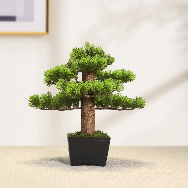 Бонсай из искусственных растен – обзор и цена Desk Setup Plants